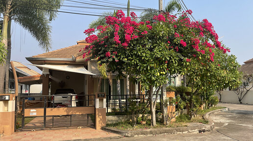 Обзор деревни Classic Garden Home в Паттайе, где можно снять дом в аренду на длительный срок