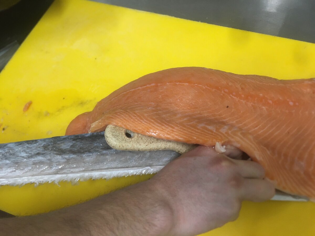 Как снять кожу с рыбы и сделать филе ( Fisch zum Filet verarbeiten ) - YouTube (