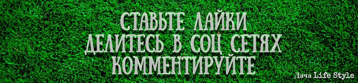 Удивительные живые украшения и конструкции для сада, сделанные своими руками