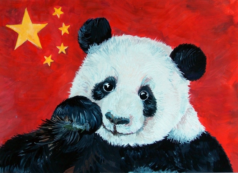 11 фактов о пандах