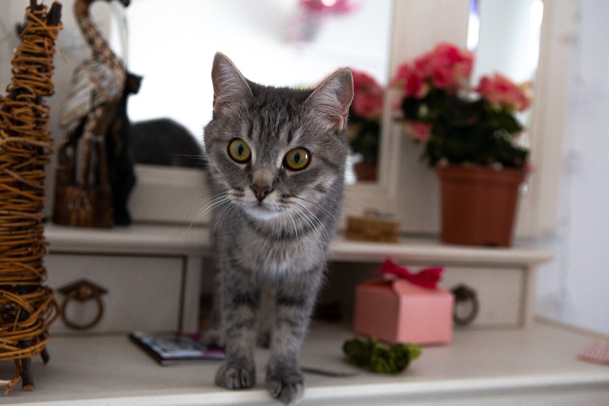 Фото автора канала 