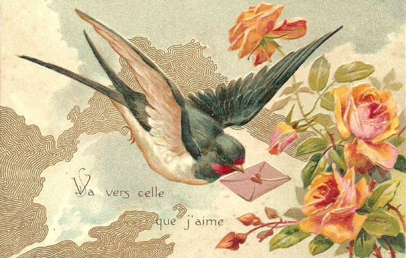 Источник: http://www.francecartophilie.fr/carte-postale-oiseaux/