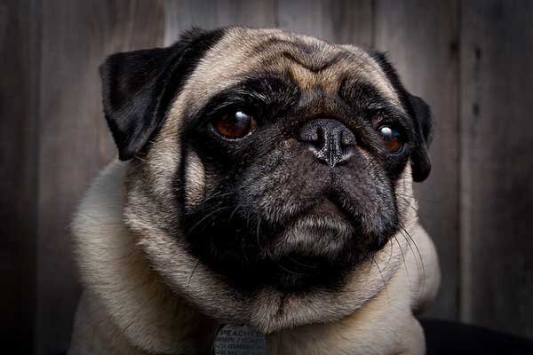 Изображение из Яндекс картинки для иллюстрации