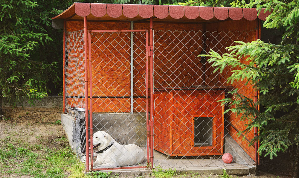 Вольер для собак