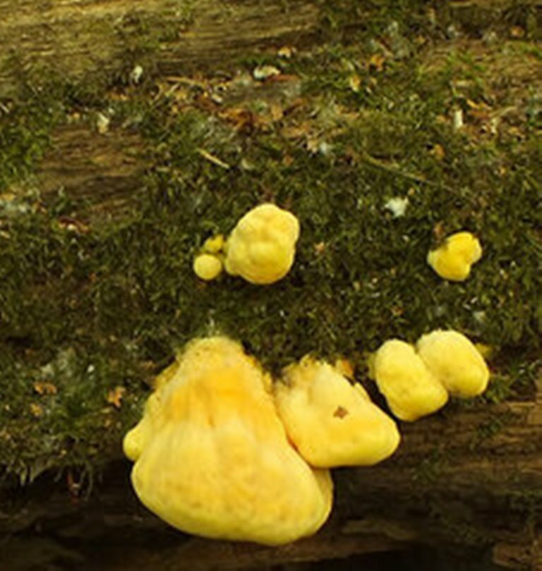 Самая лучшая стадия развития ТСЖ. Фото из семейного архива автора