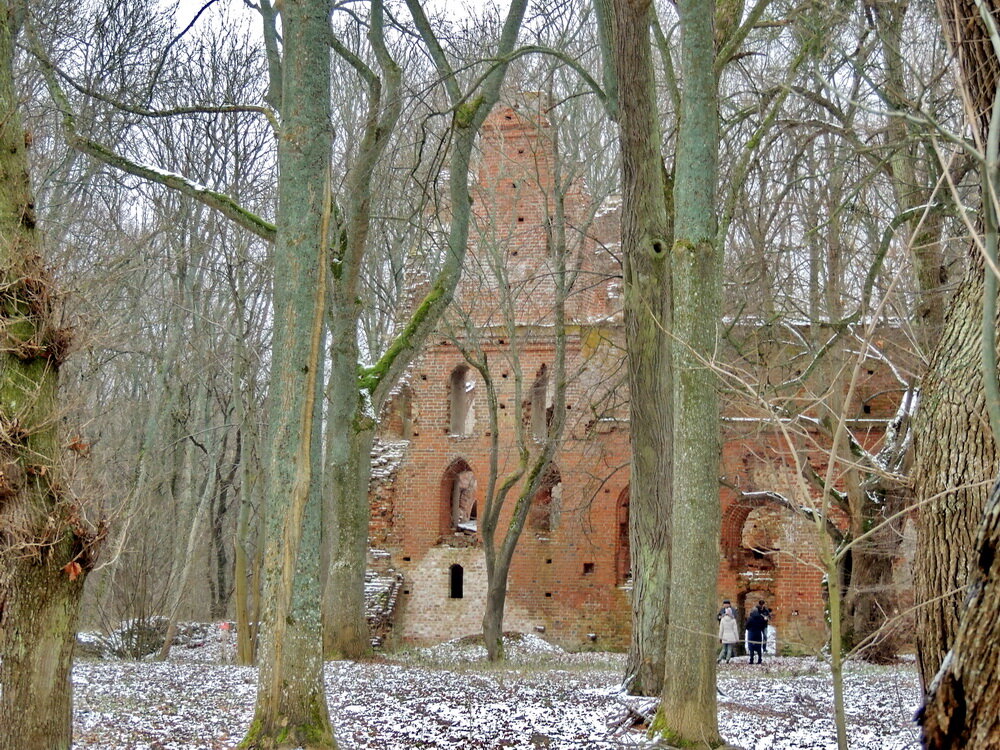 Замок бальга в калининградской области фото