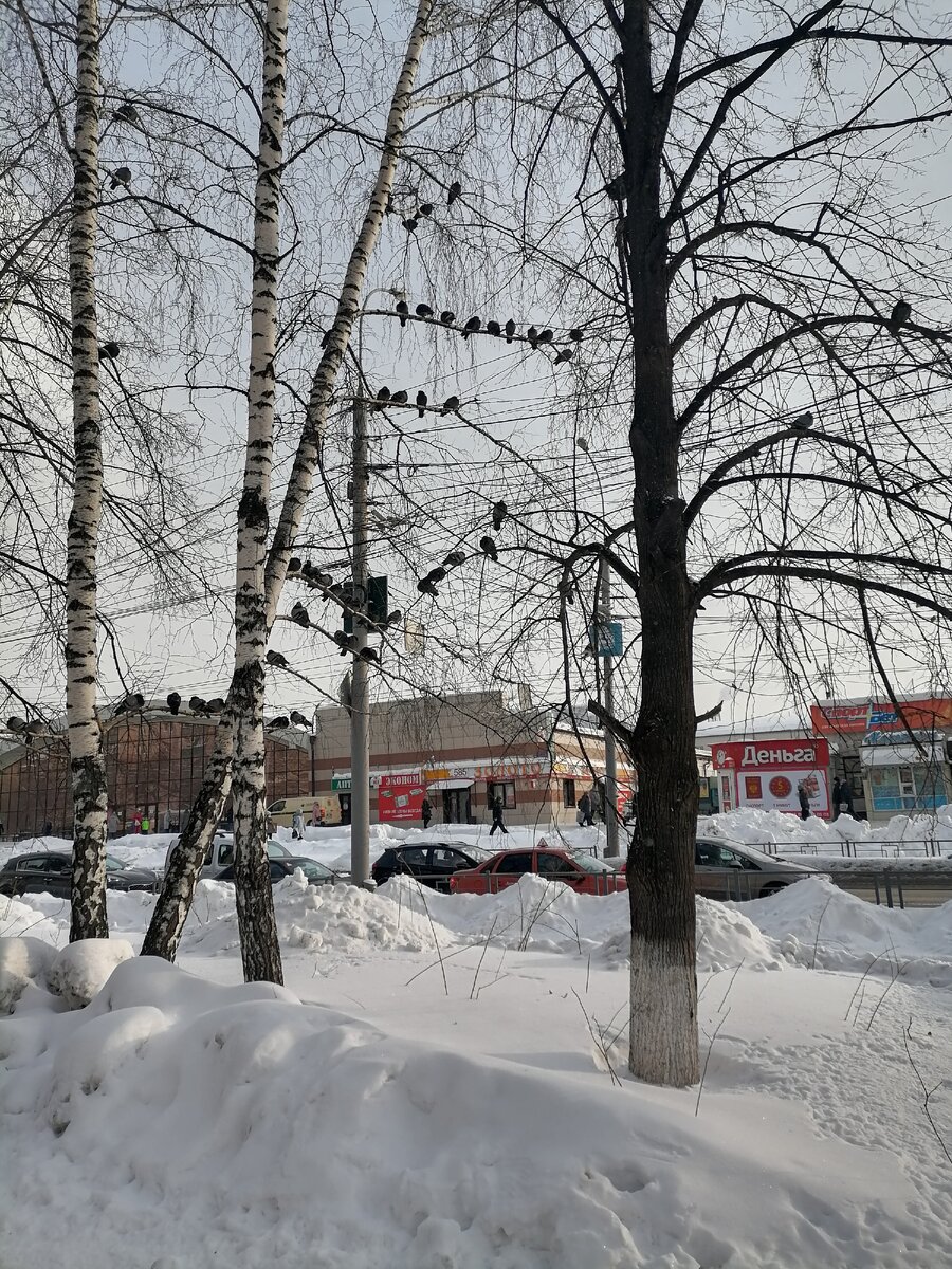 Мы все устали от зимы и заждались, когда свет и тепло победят тьму и холод, и наступит долгожданная весна. 