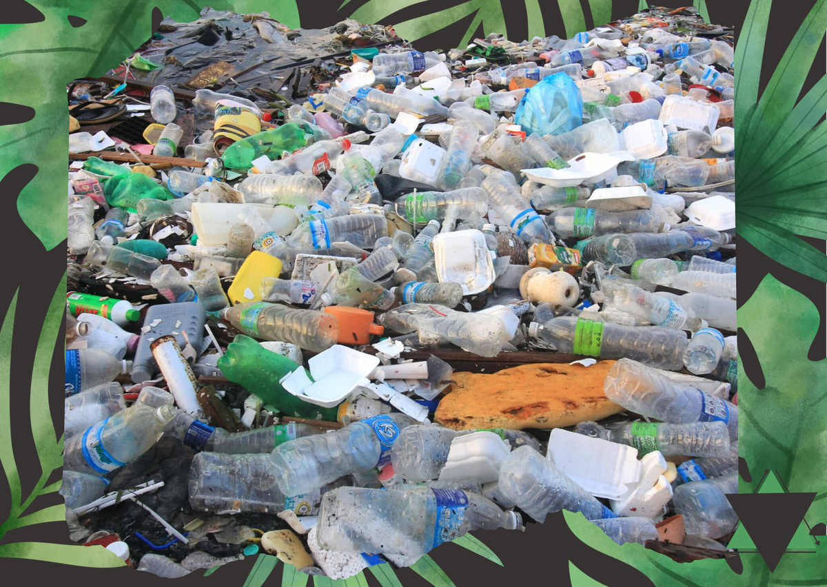 Такие местечковые мусорные залежи есть в каждом районе любого города. Страшное зрелище. 