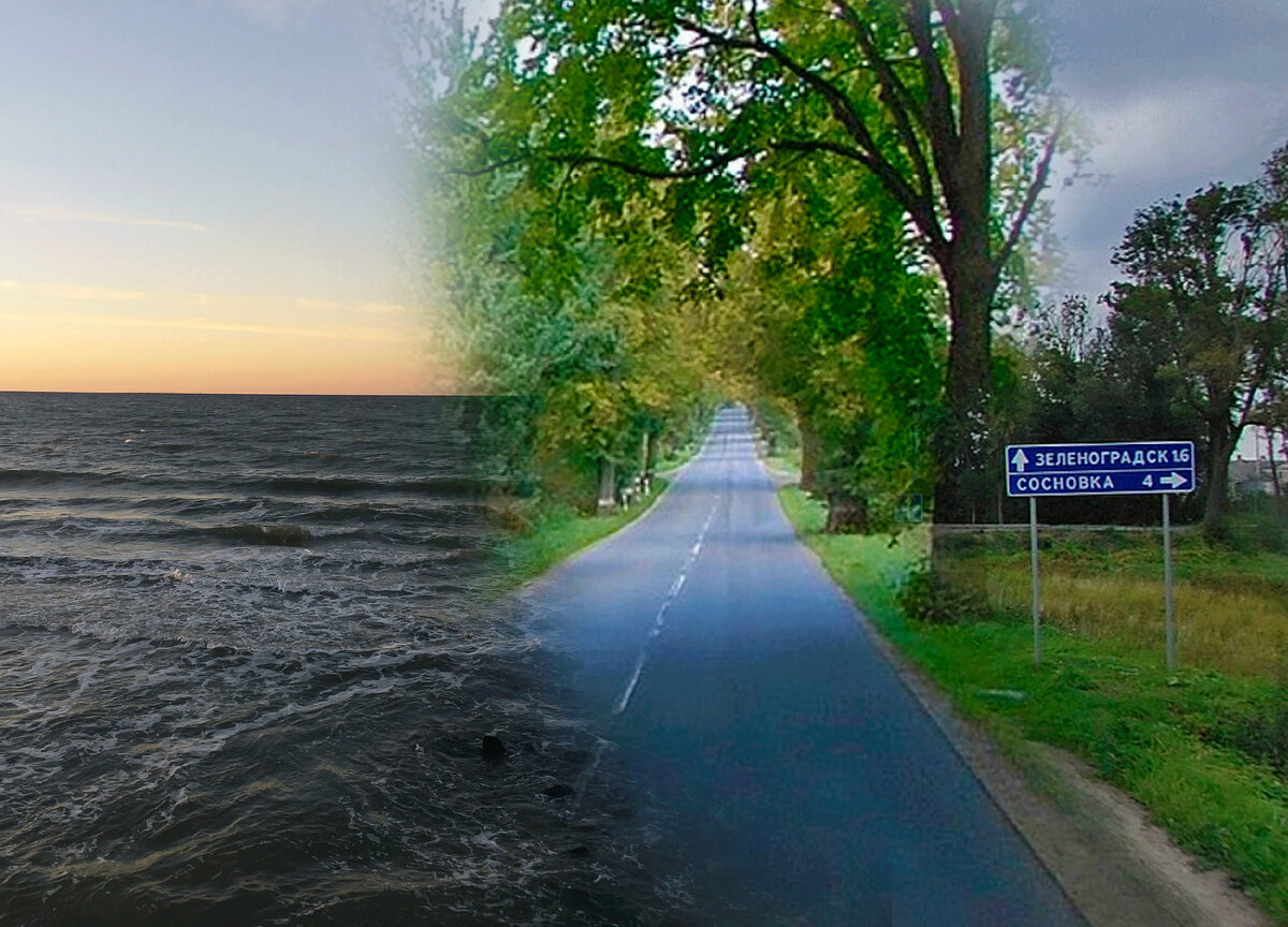 Коллаж из фото автора