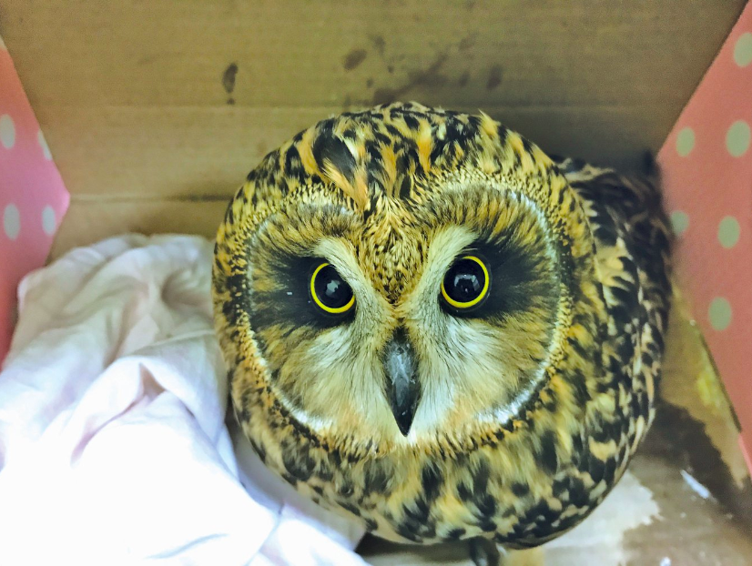 Фото: архив "Полиметалл"