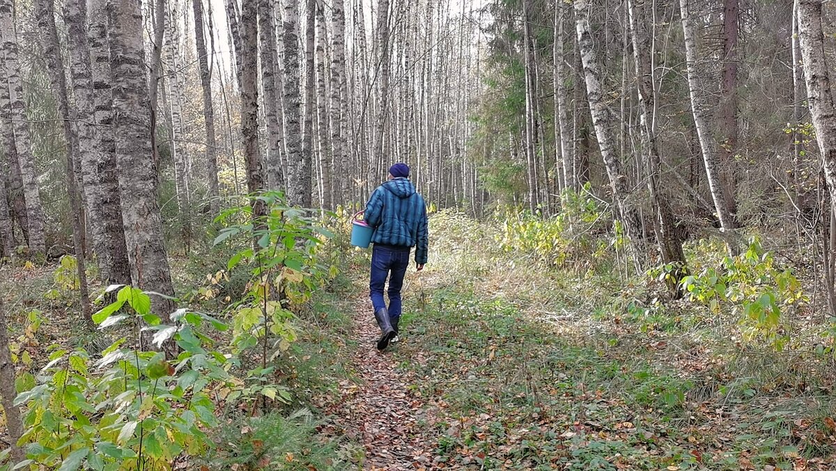 Отопление не дали, а дома уже жарко: Купили керамический обогреватель с ...