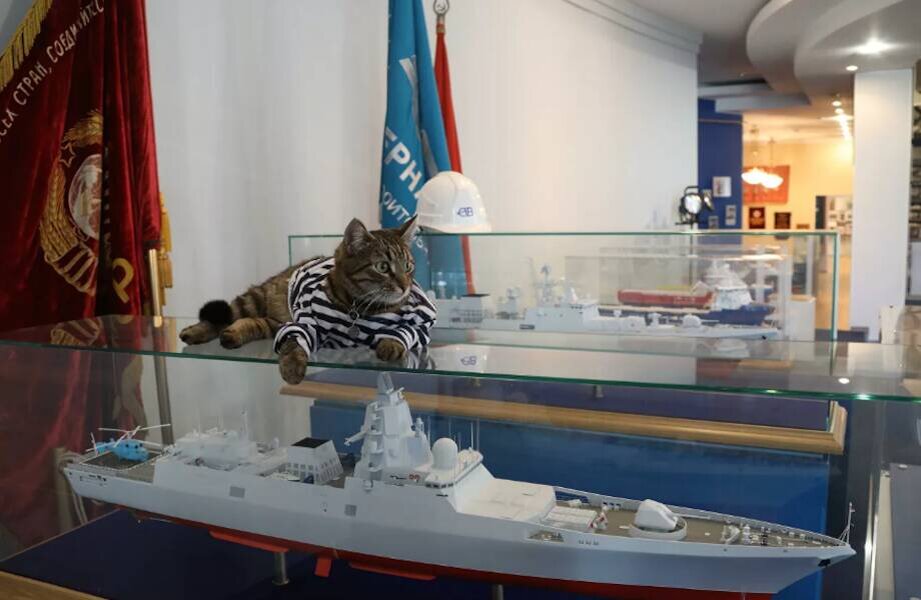 Кот Василий Стерегущий / Северная верфь