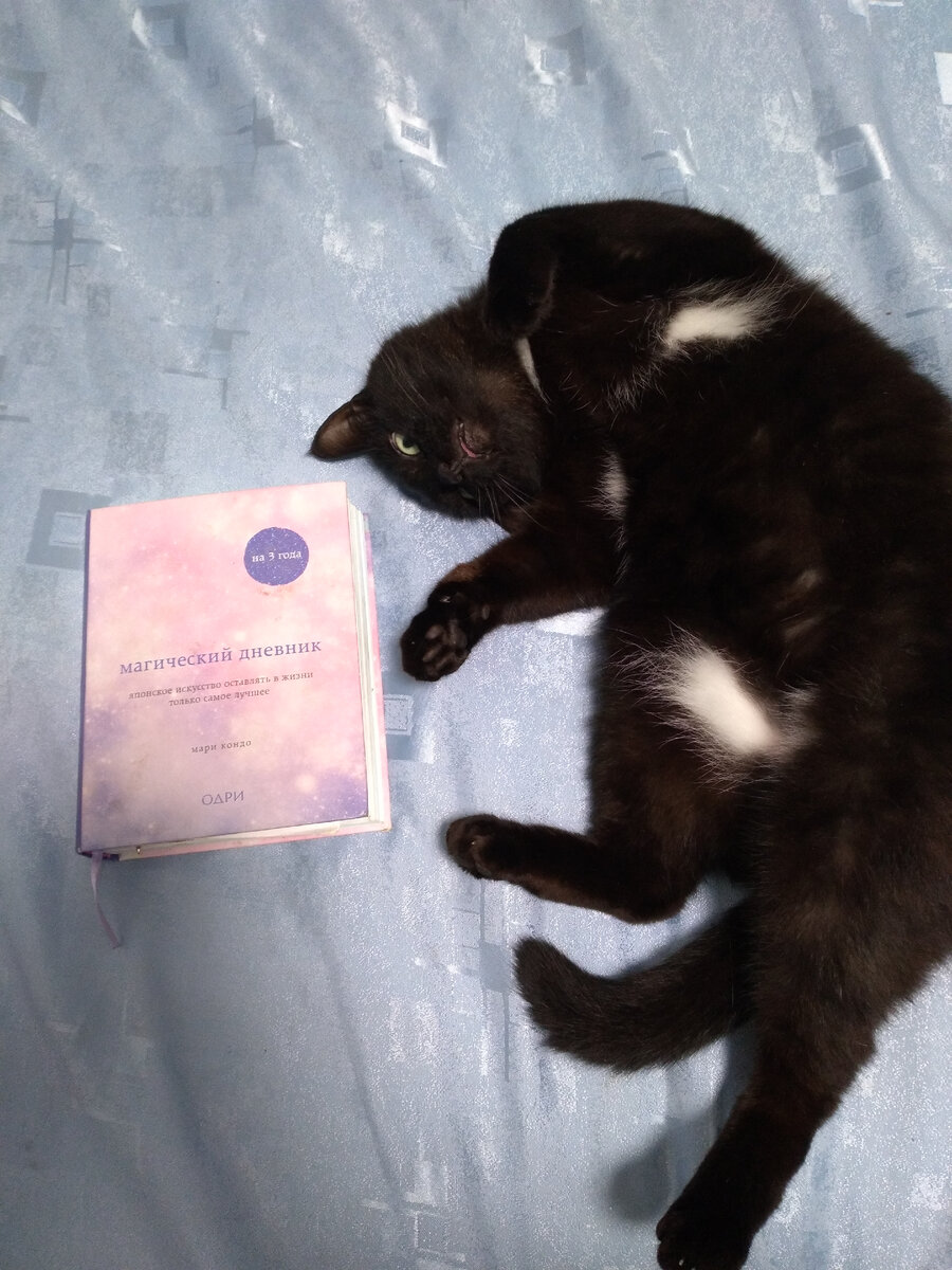 Нет, это не книга заклинаний Гарри Поттера, это мой садовый дневник- в него записываю что, когда и куда посадила, ну и прочие огородные дела