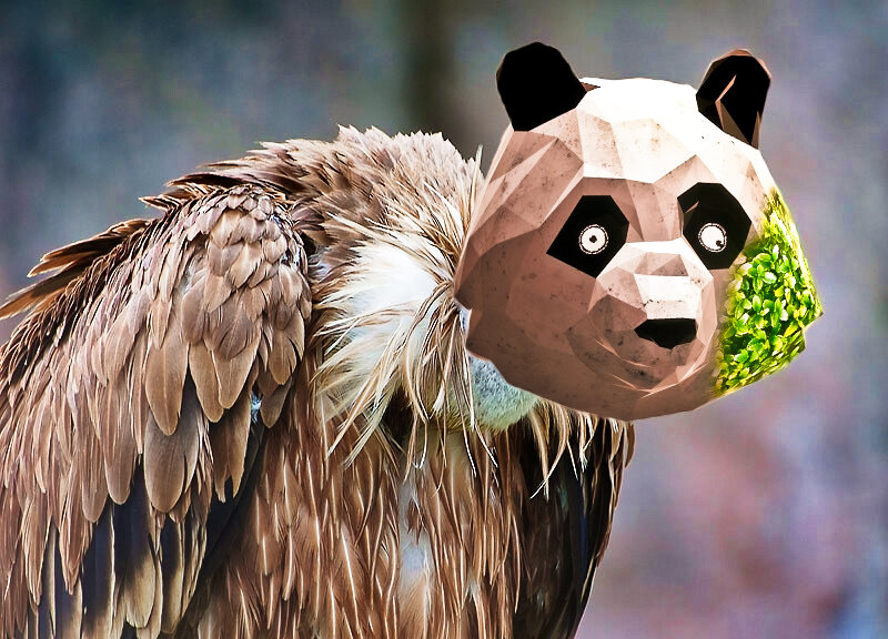 СОВА: -Я вижу, ты читаешь эту надпись!