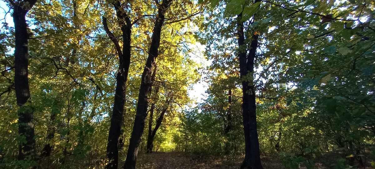 Авторское фото