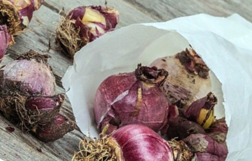 Хранение в бумажных пакетах