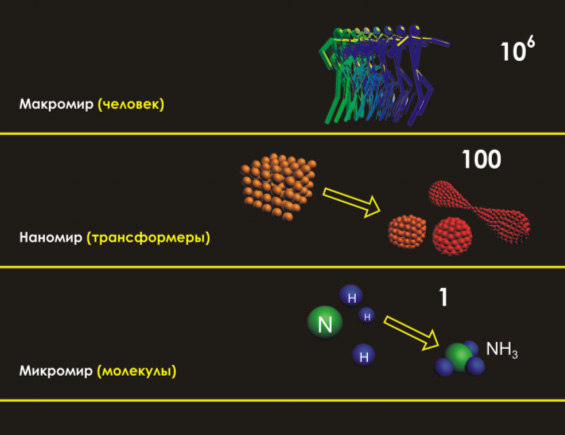 Изображение взято из открытого источника