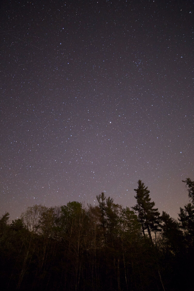 https://www.pexels.com/photo/tall-trees-during-night-time-7142/