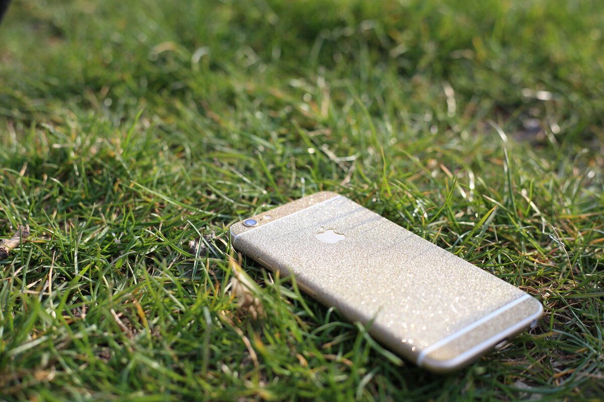 Фото из свободного доступа сети Интернет