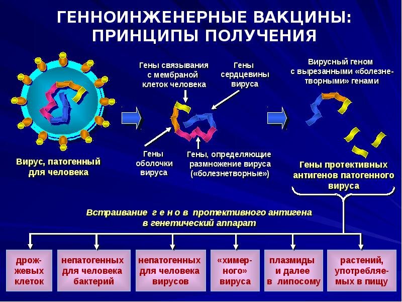 Синтетические вакцины картинки