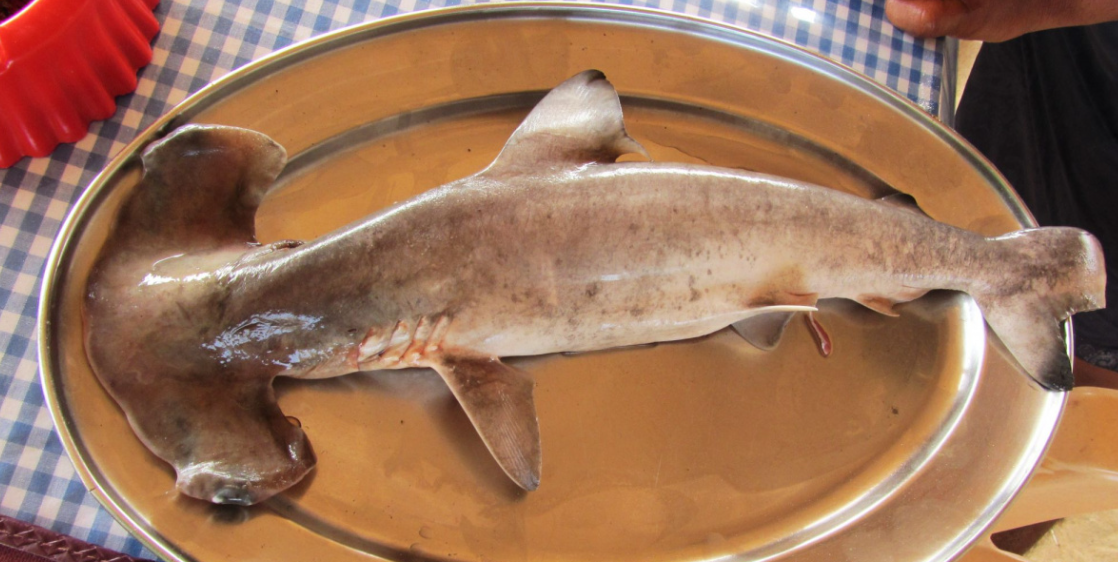 Фото с сайта tury.ru