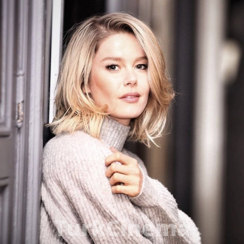 Бурджу Бириджик