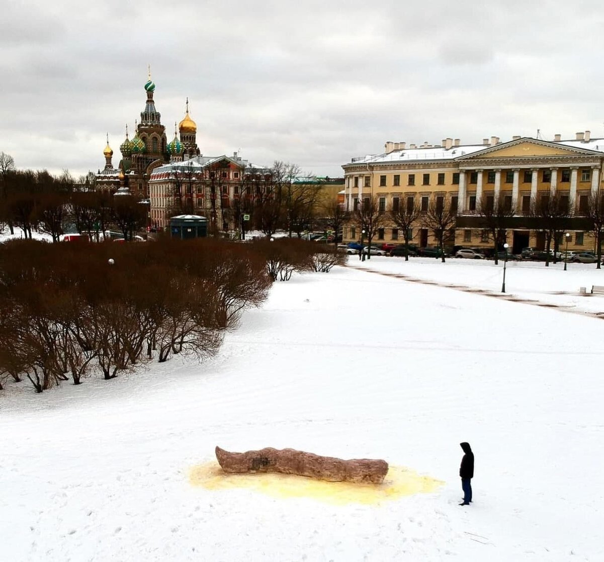 марсово поле зимой в санкт петербурге