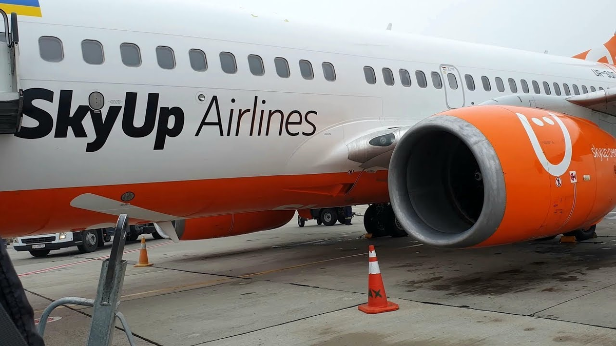 Иллюстрация в свободном доступе.