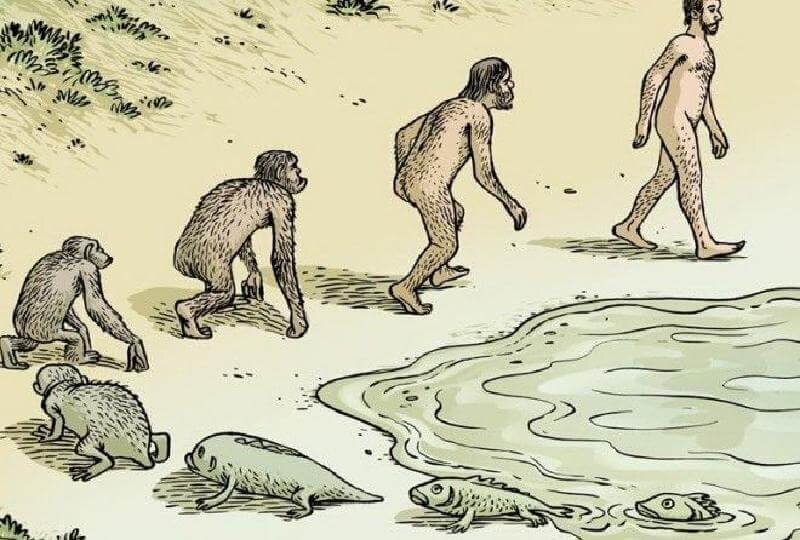 Теория эволюции Ч. Дарвина.