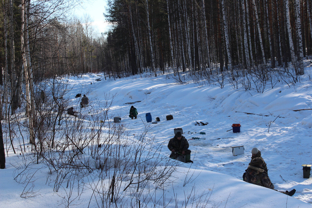 Короткий отрезок реки. 