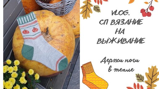 VLOG. PUMPKIN SOCKS . Новый процесс. Последняя неделя проекта.