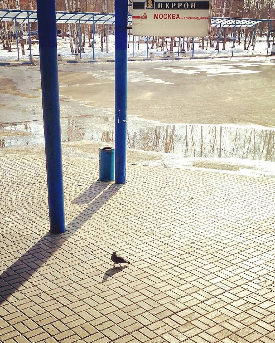 Архив. Апрель 2021. "Передумал ехать"