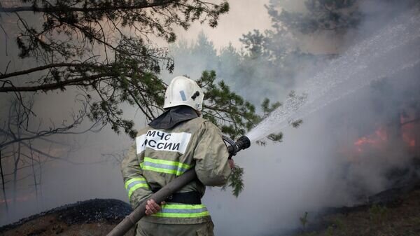    Сотрудник противопожарной службы МЧС РФ тушит лесной пожар в Тюменской области© РИА Новости / Наталья Горшкова