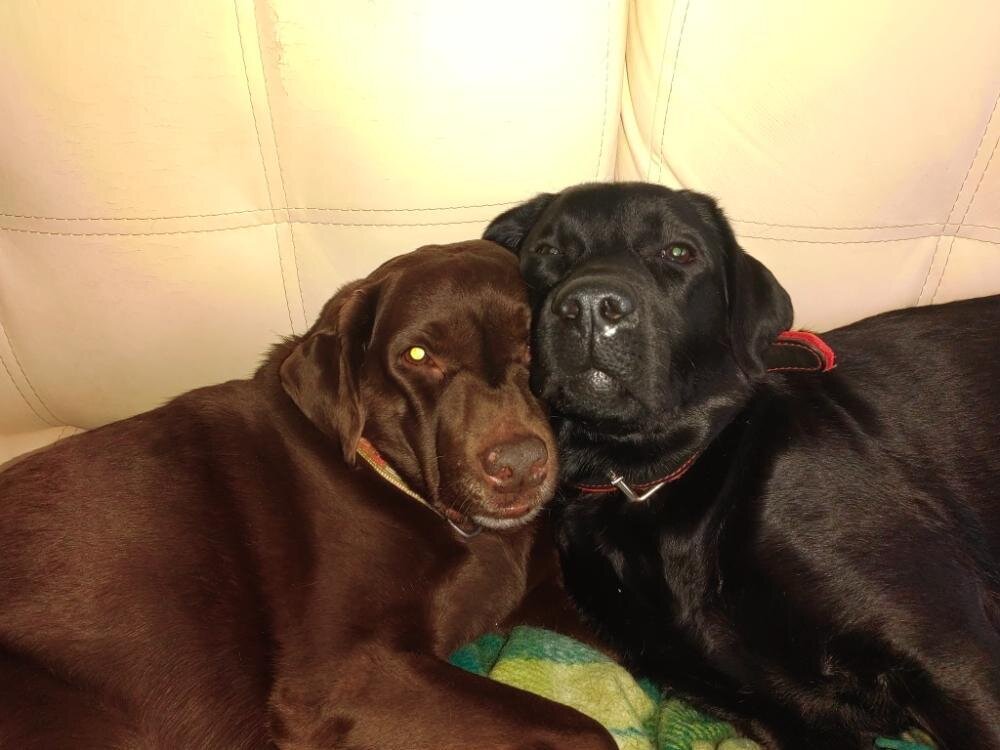 Маруся и Эшка