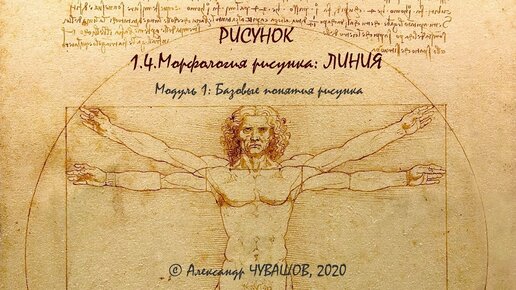 1.4. Морфология рисунка: Линия