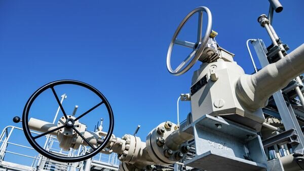   © photo: Sputnik / Dmitry Lel'chuk