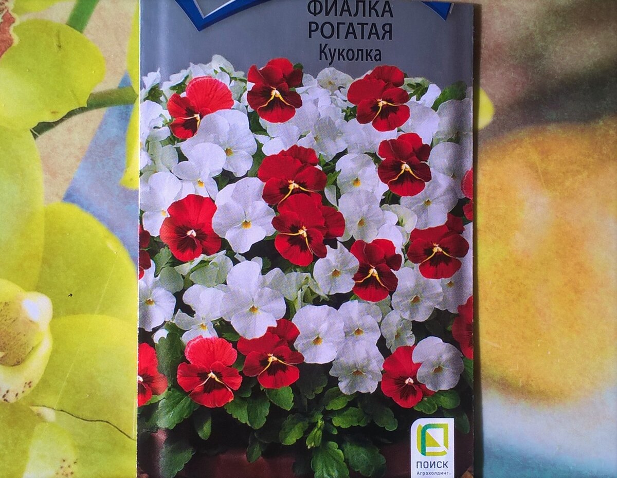 Семена фиалки "Куколка"