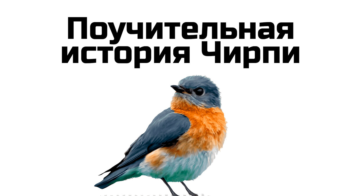 История про птицу. Поучительная