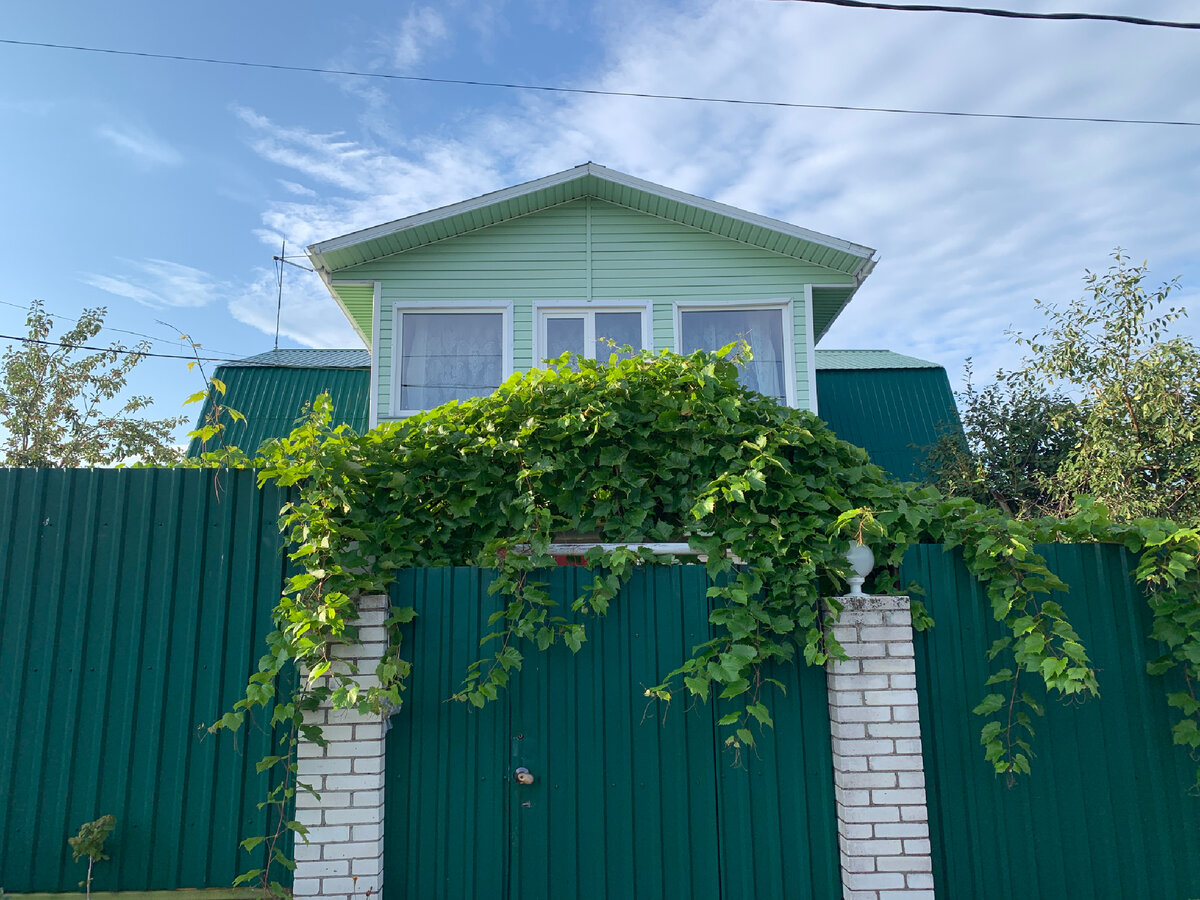 Это наш забор на даче