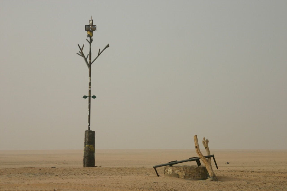 Памятник самому одинокому дереву на Земле/ © moya-planeta.ru