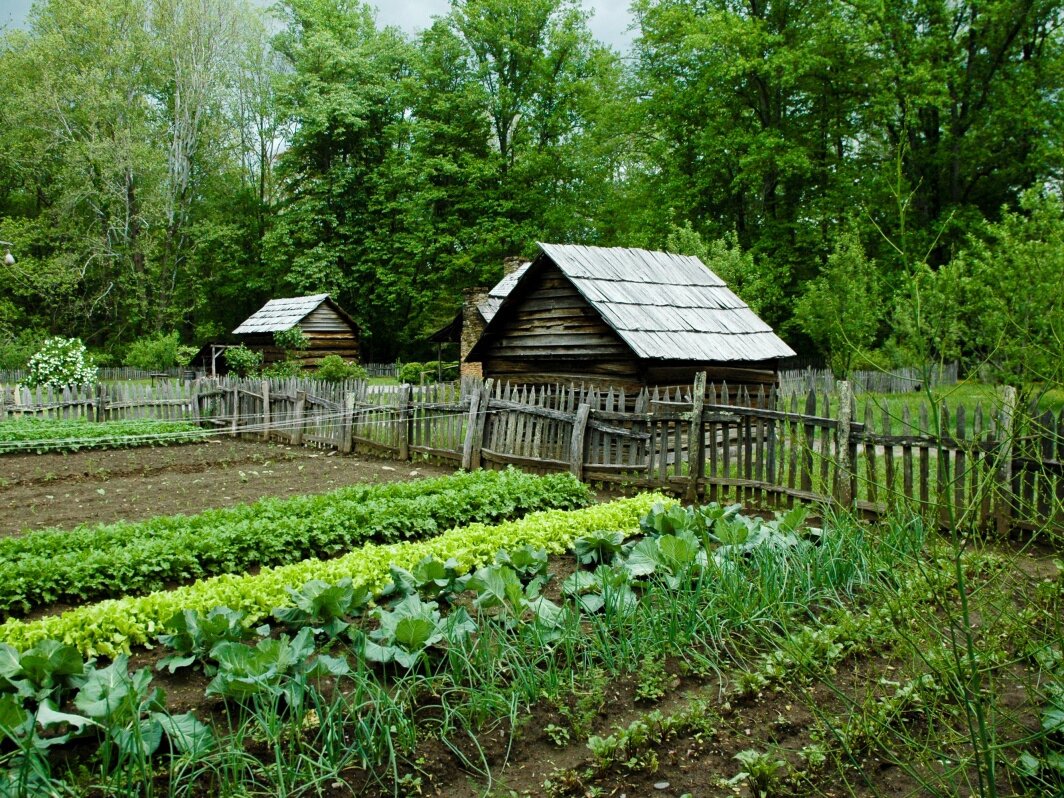 Огород деревенский