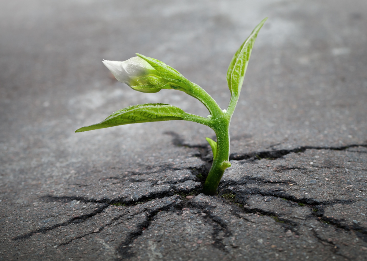 Источник: pexels.com