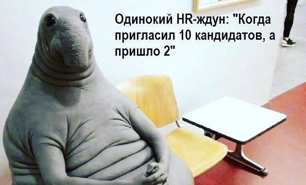 Источник изображения: https://hr-portal.ru