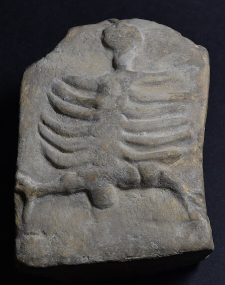 Камень с изображением птичьего скелета