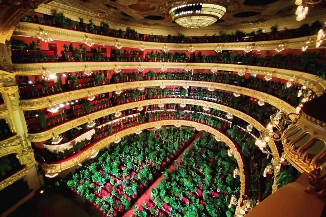 © Instagram / liceu_opera_barcelona