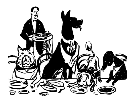 Рисунок из книги "Под знаком Скорпиона" Я. Сухотин 