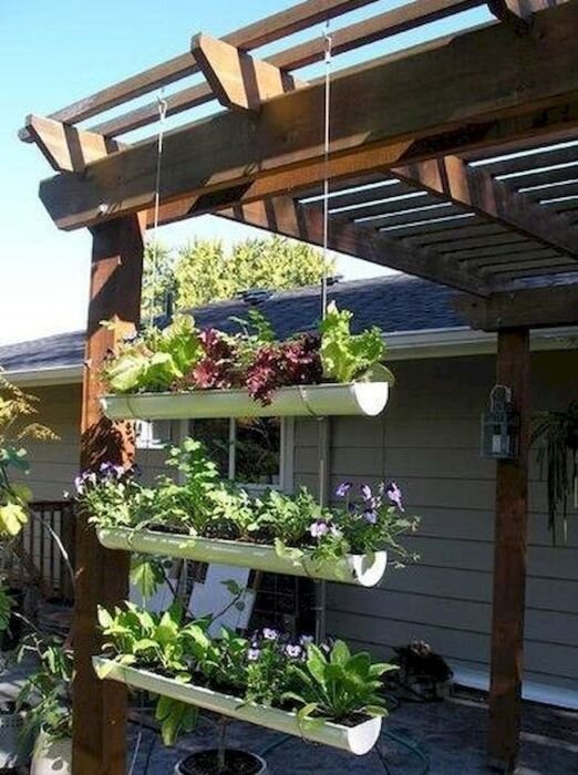 Домашний сад: как стильно украсить интерьер растениями