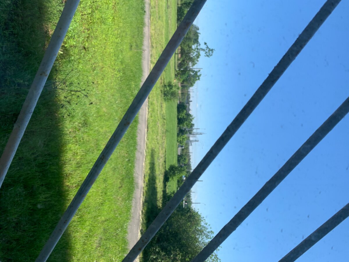 Мой ежедневный вид из окна