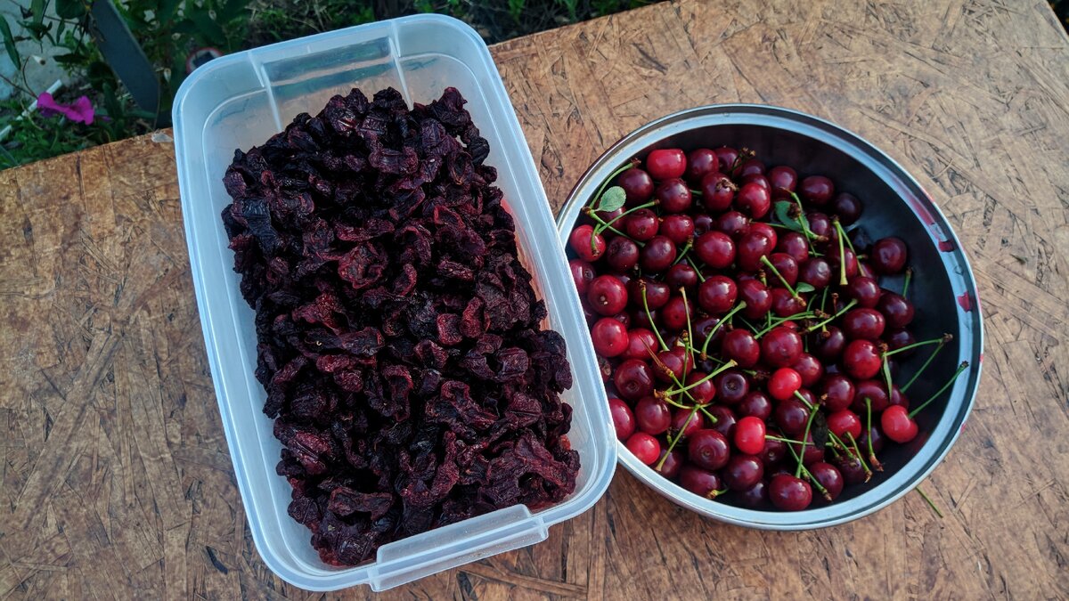 Высушенная вишня
