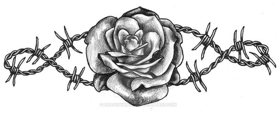 Татуировка шипы розы на руке